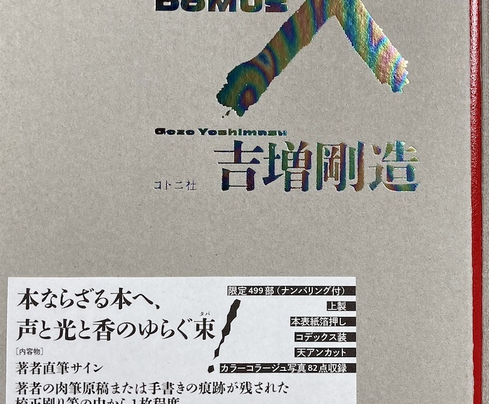 domus_x