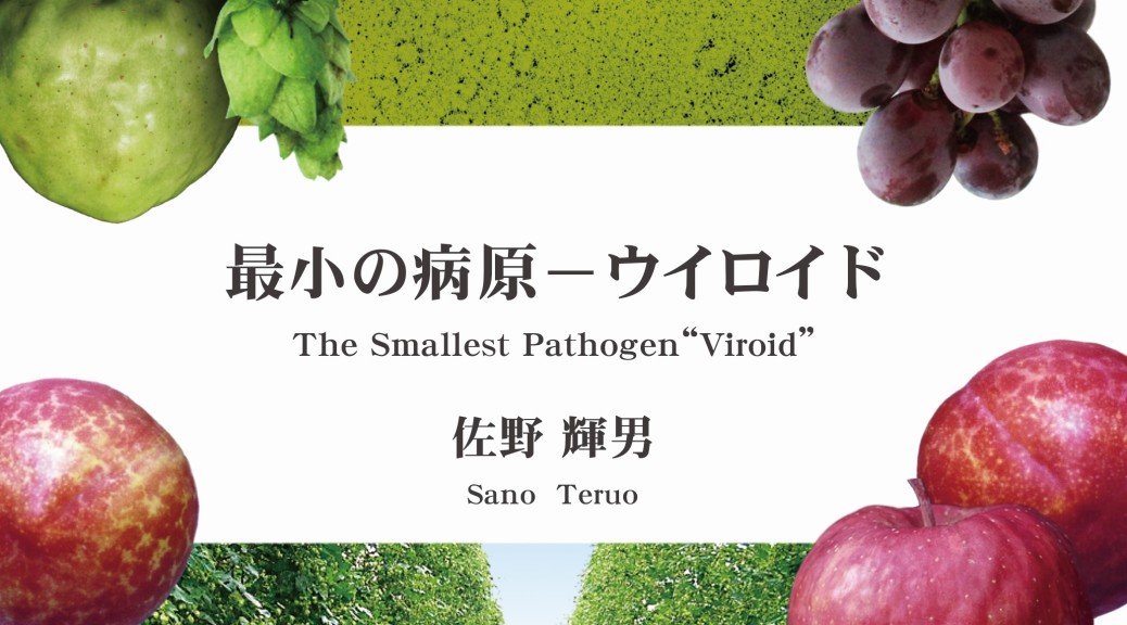 【書影】viroid_cover_frontback_fin02_240818