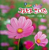 コスモスさいた ＜新・自然きらきら 11＞