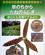 草のちからたねのふしぎ : 草のたねを育ててみよう ＜身近な植物と友だちになる本 4＞