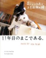 11年目のまこである。 : まこという名の不思議顔の猫