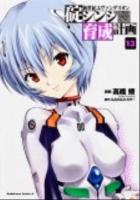 新世紀エヴァンゲリオン碇シンジ育成計画 13 ＜角川コミックス・エース KCA148-15＞
