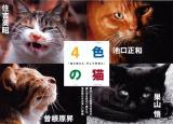 4色の猫 : 猫と僕らと、そして写真と : 写真集