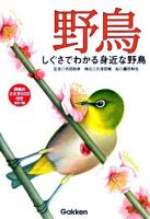 野鳥 : しぐさでわかる身近な野鳥 : 自然発見ガイド