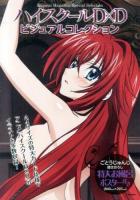 ハイスクールD×Dビジュアルコレクション ＜Megami Magazine Special Selection＞