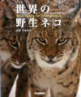 世界の野生ネコ