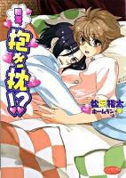 職業、抱き枕!? ＜もえぎ文庫ピュアリー＞