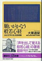 願いがかなう般若心経 : 262文字の生活指導書 ＜講談社+α新書  般若心経＞