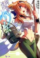 異世界迷宮でハーレムを 3 ＜ヒーロー文庫＞