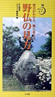 野仏の見方 : 歴史がわかる、腑に落ちる ＜ポケットサライ＞