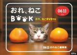 おれ、ねこbook : Eテレ0655TV