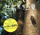 セミたちの夏 ＜小学館の図鑑NEOの科学絵本＞