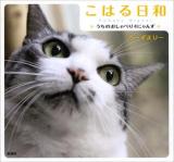 こはる日和 : うちのおしゃべり4にゃんず