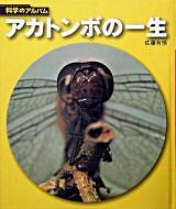 アカトンボの一生 ＜科学のアルバム 虫 4＞ 新装版.