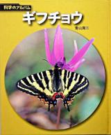 ギフチョウ ＜科学のアルバム 虫 18＞ 新装版.