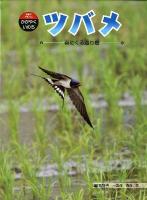 ツバメ : 春にくる渡り鳥 ＜科学のアルバムかがやくいのち 12＞