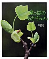 葉っぱのあかちゃん ＜ちしきのぽけっと 6＞