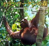 オランウータンの森