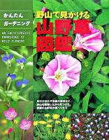 野山で見かける山野草図鑑 : かんたんガーデニング