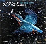 カワセミ : 青い鳥見つけた ＜日本の野鳥＞