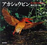 アカショウビン : 火の鳥に出会った ＜日本の野鳥＞