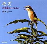 モズ : 不思議なわすれもの ＜日本の野鳥＞