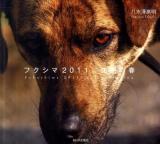 フクシマ2011、沈黙の春