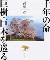 千年の命巨樹・巨木を巡る