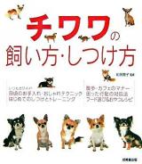 チワワの飼い方・しつけ方