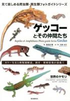 ゲッコーとその仲間たち ＜見て楽しめる爬虫類・両生類フォトガイドシリーズ＞