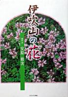 伊吹山の花