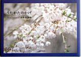 うたかたのかげ ＜アルカディアシリーズ  アポロンブックス＞