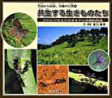 共生する生きものたち : クロシジミとクロオオアリの相利共生 ＜里山から高原、山地の自然 2＞