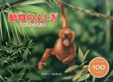 動物のふしぎ ＜めくりしかけえほん＞