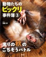 動物たちのビックリ事件簿 3 (実りの秋のごちそうバトル)