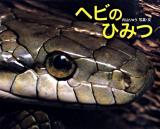 ヘビのひみつ ＜ふしぎいっぱい写真絵本 14＞