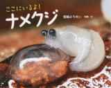 ここにいるよ!ナメクジ ＜ふしぎいっぱい写真絵本 24＞