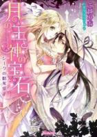 月の王と神の宝石 : シークの略奪愛 ＜ヴァニラ文庫 タ1-01＞