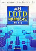 実践FDTD時間領域差分法