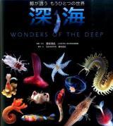 深海