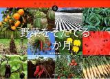 野菜をそだてる12か月 ＜生きものカレンダー 6＞
