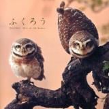 ふくろう