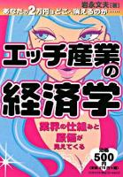 エッチ産業の経済学 : あなたの2万円はどこへ消えるのか… : 業界の仕組みと原価が見えてくる