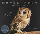 世界の美しいフクロウ
