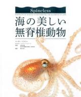 海の美しい無脊椎動物