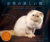 世界の美しい猫