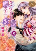 さらわれ姫は鷹の王に恋をする : 銀のセレイラ 2 ＜Missy comics  Next comics F＞