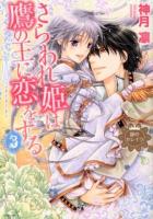 さらわれ姫は鷹の王に恋をする : 銀のセレイラ 3 ＜Missy comics  Next comics F＞