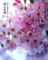 盆石に魅せられて