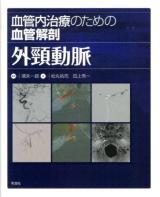 血管内治療のための血管解剖外頸動脈